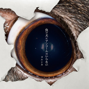 裸体黄色网网站下载
