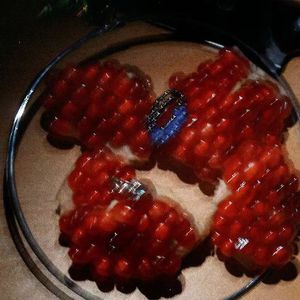 成人污污视频在线观看
