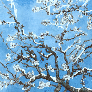 外国野外撒尿视频
