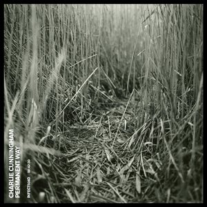 裸体黄色网网站下载
