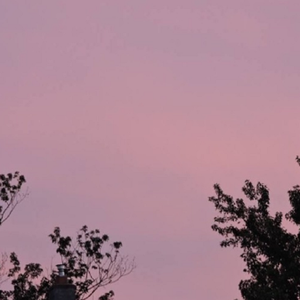 大地资源视频在线观看1
