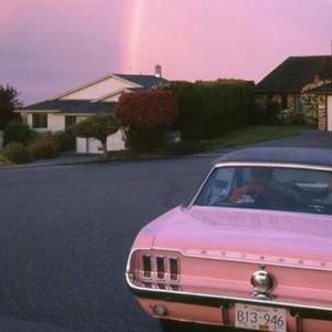 裸体黄色网网站下载
