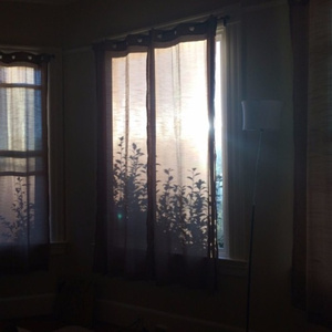 舔男人鸡男人爽的大叫床
