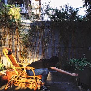 俄罗斯女子学院在线看免费法剧
