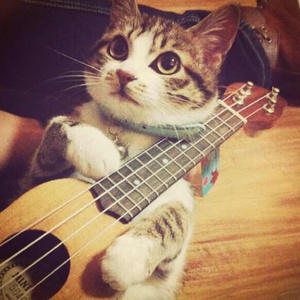 青色大脑主角各种死亡结局
